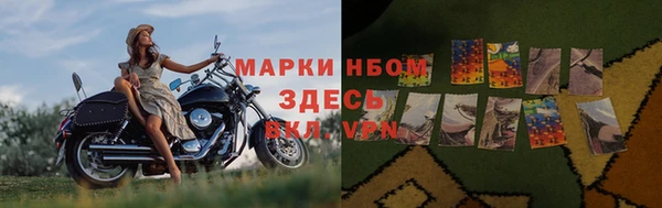 ПСИЛОЦИБИНОВЫЕ ГРИБЫ Костерёво