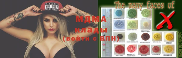 ПСИЛОЦИБИНОВЫЕ ГРИБЫ Костерёво