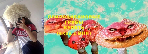 ПСИЛОЦИБИНОВЫЕ ГРИБЫ Костерёво